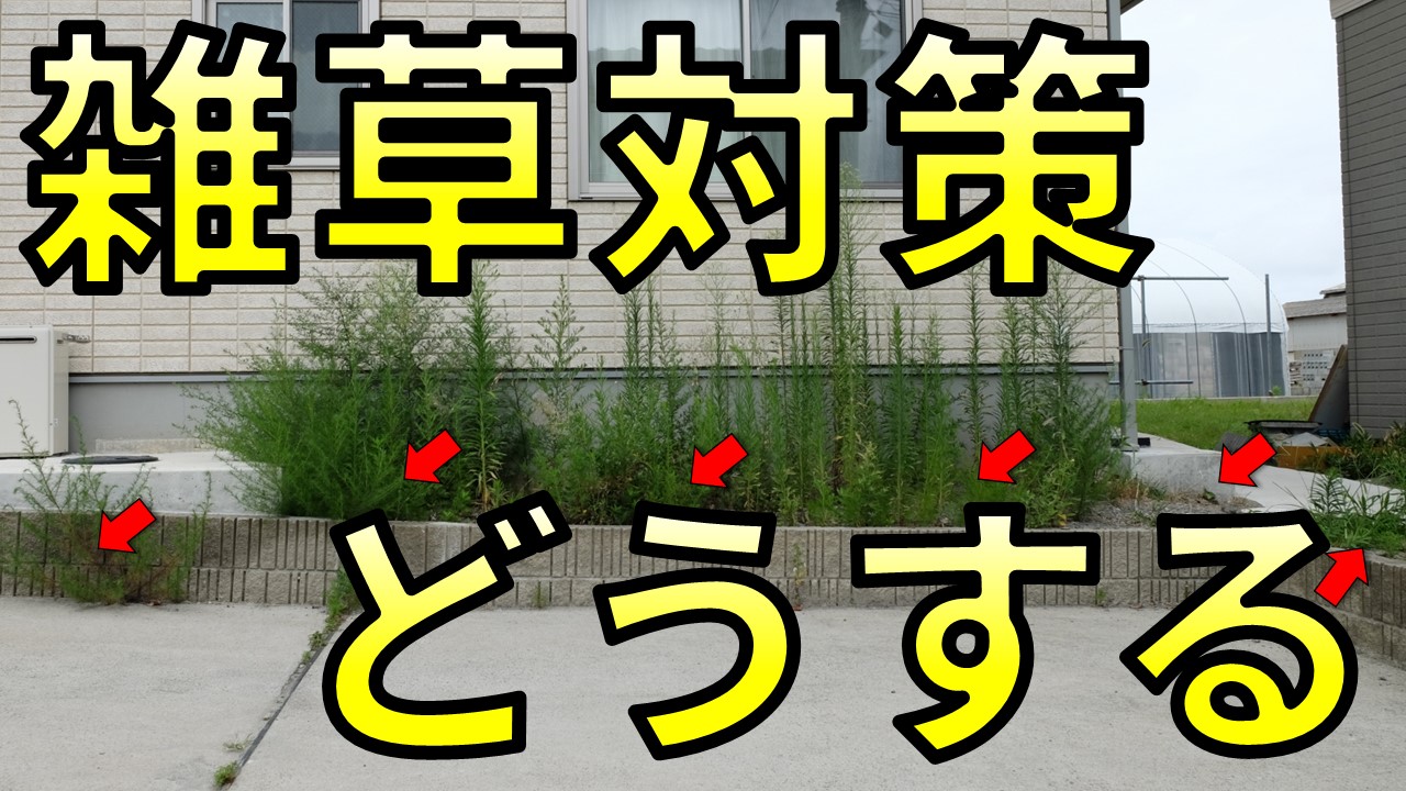 誰か助けてください！新築の雑草がヒドすぎて、もう疲れたの…【最強の雑草対策3選】｜庭ファン