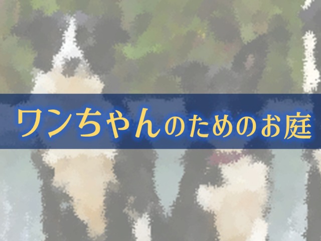 相談は、「犬と住まいるコーディネーター」へ