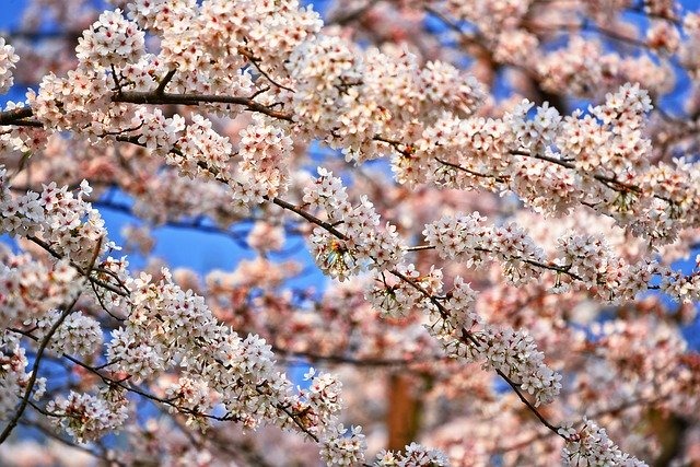 4月 JIN購入&100記事突破