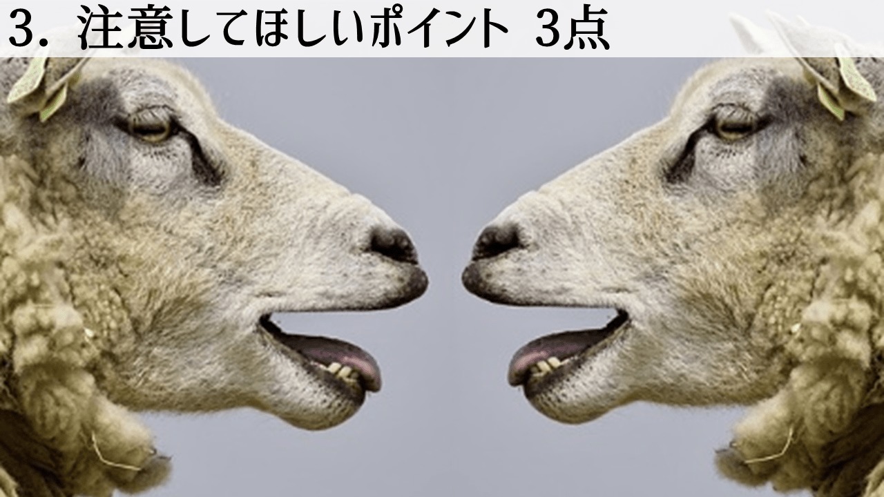 外構業者から見た注意してほしいポイント
