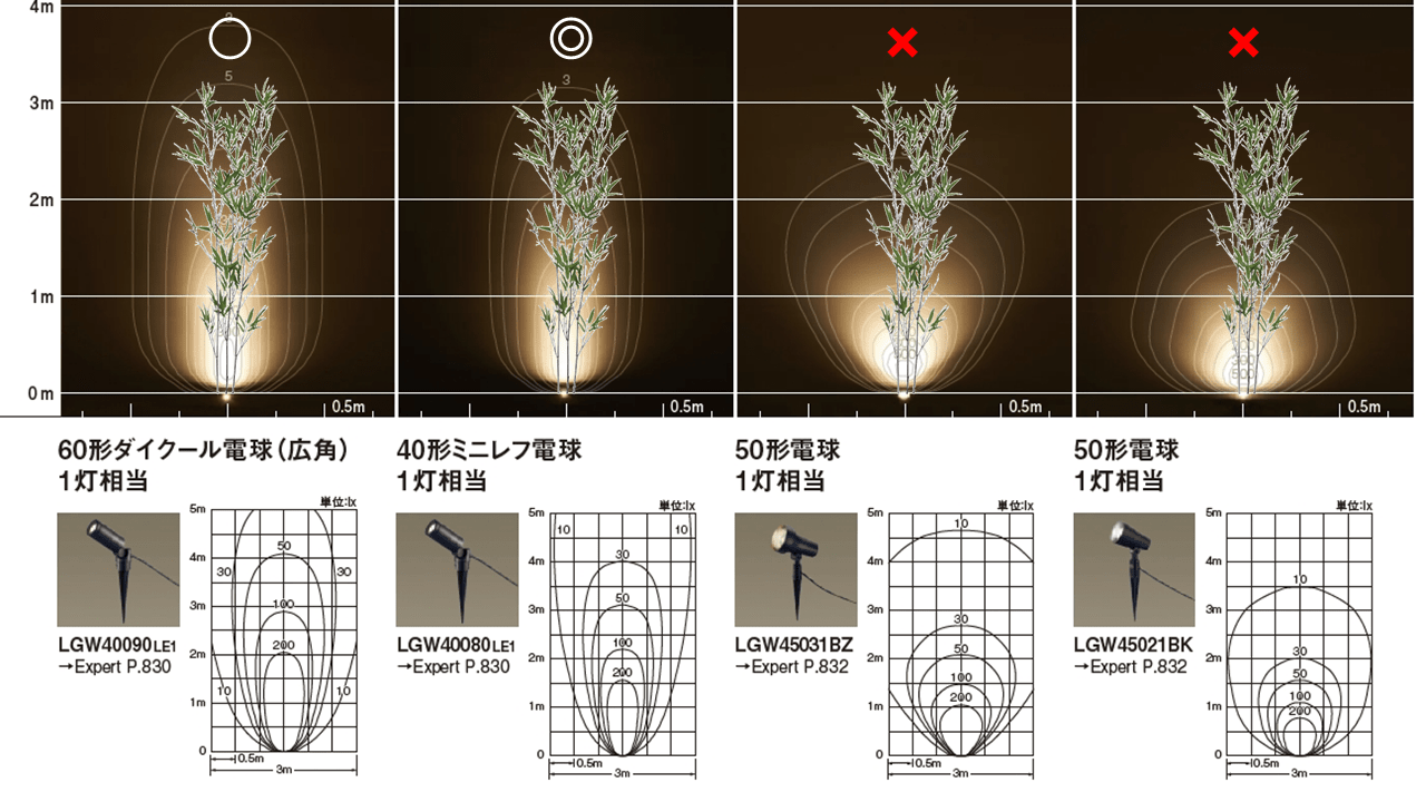 竹を照らしたイメージ図