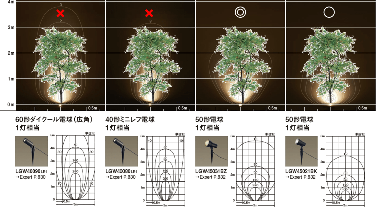 もみじを照らしたイメージ図