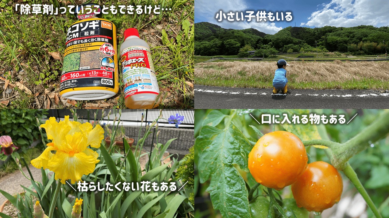 除草剤のデメリット