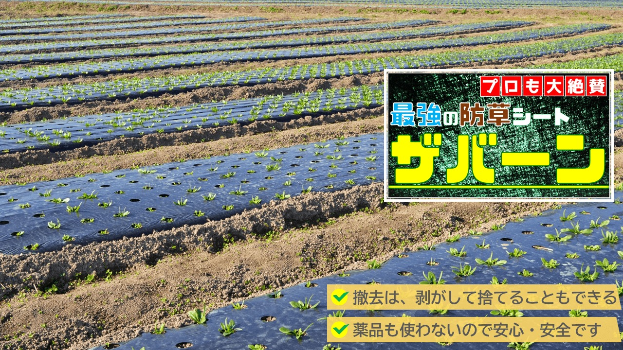 デュポン社が販売するザバーンを推奨しています