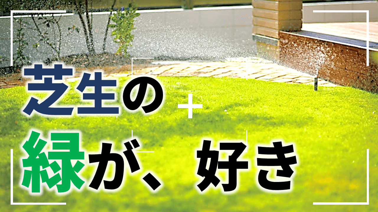 あなたの水やり方法は 間違い 樹木医に聞いた正しい手順を解説植栽 庭ファン 新築外構 エクステリア工事を賢く安くできるお得情報を配信