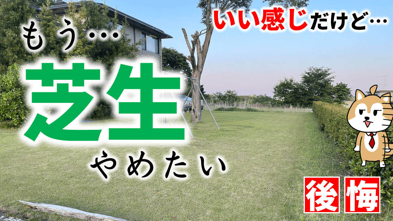 人工芝 『決まりました』